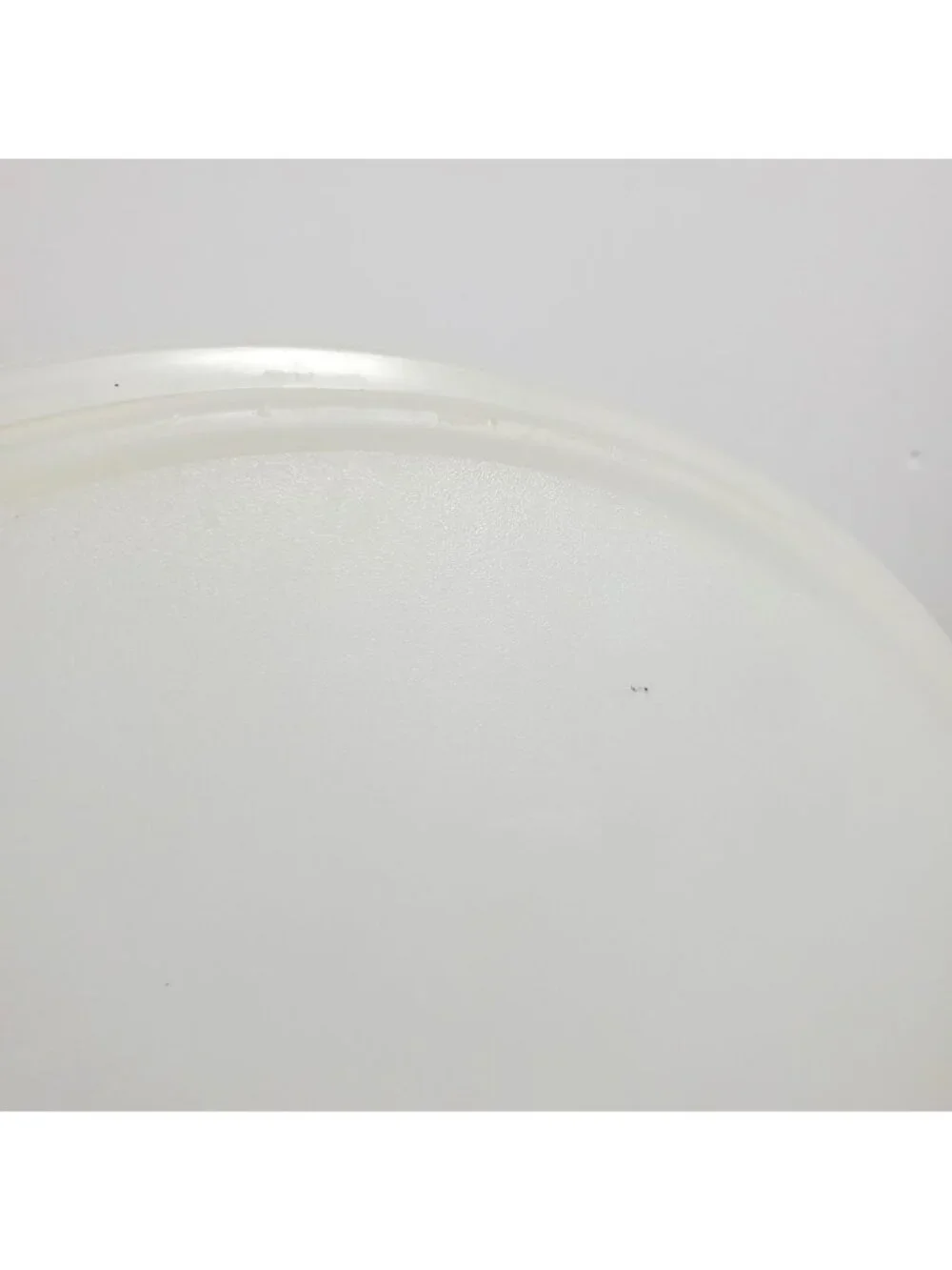 Tupperware O Seal Replacement Sheer #2197 Lid Y Tab 9